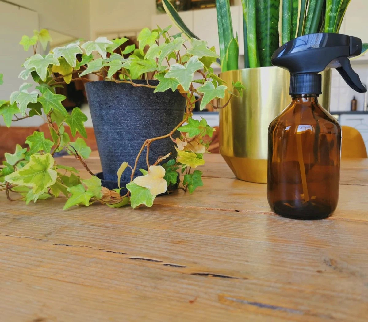 24DOTS Living Plantenspuit | 300 Ml Bruin Amber Glas | Plantensproeier | Plantenspuit Binnen | Waterverstuiver | Vernevelaar - Afbeelding 4