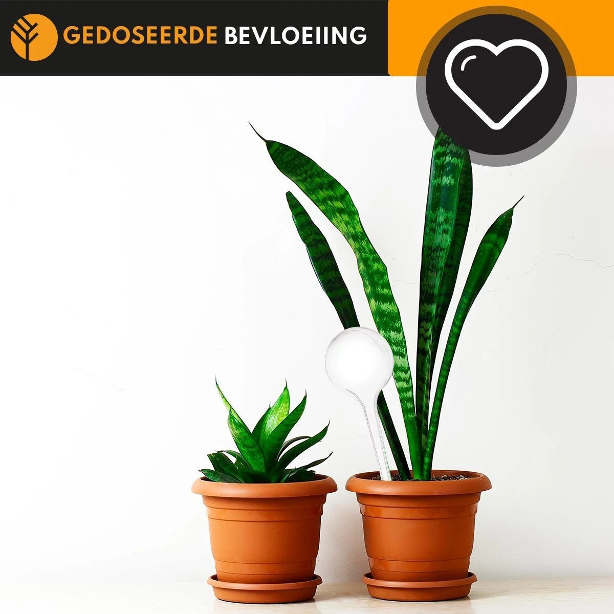 Waterdruppelaar Set Van 6 Stuks Voor Planten Transparant – 27 CM – Automatisch Watergeefsysteem Voor Kamerplanten – Planten Watergever Met Druppelsysteem – Waterbol - Afbeelding 4