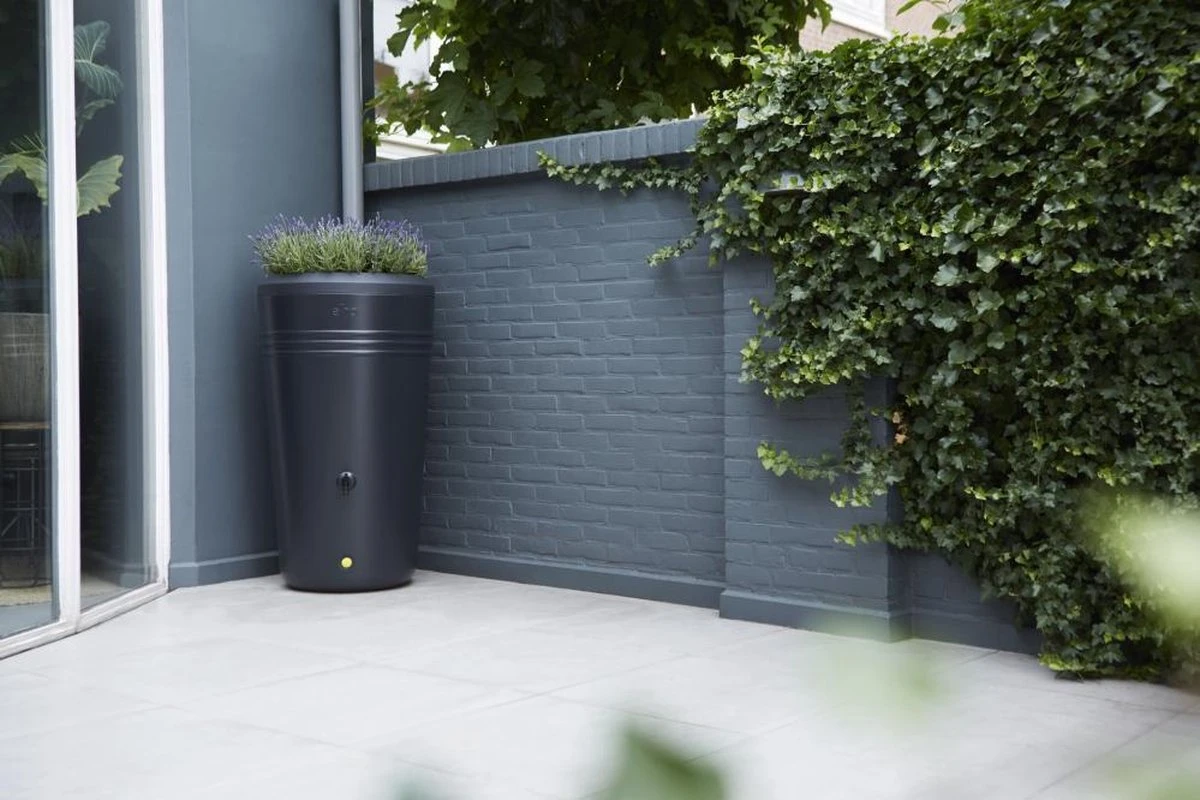 Elho Green Basics Regenton - Regenton - Living Black - Buiten - 200 Liter - Afbeelding 6